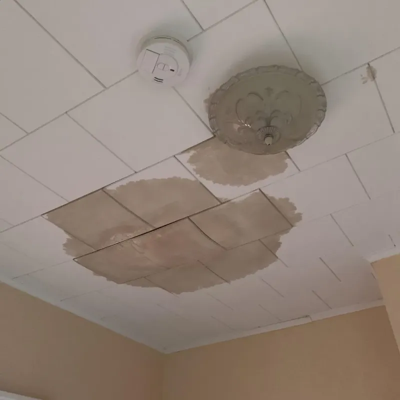 Ceiling Water Damage Repair in Franconia, VA